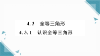 初中数学湘教版（2024）八年级上册（2024）4.3 全等三角形习题ppt课件