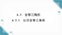 初中数学湘教版(2024)八年级上册(2024)4.3 全等三角形习题ppt课件