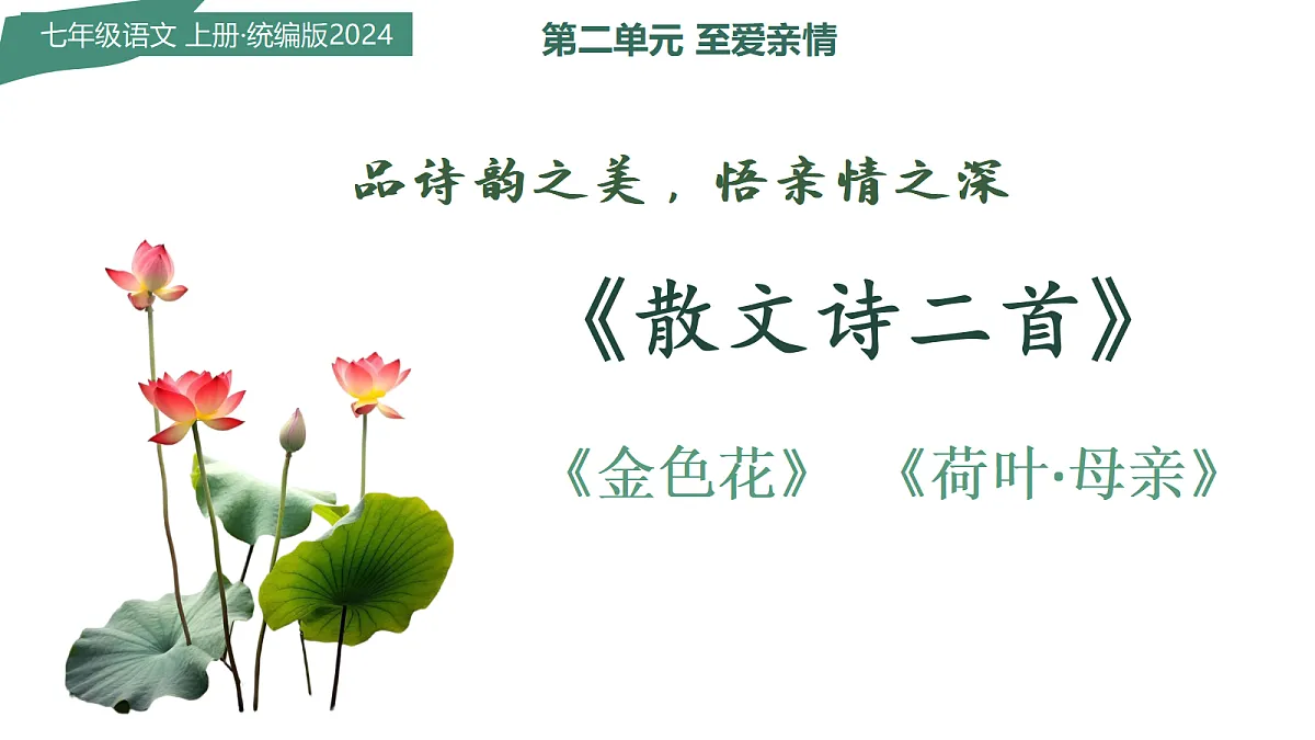 17299147第1页