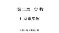 初中数学北师大版（2024）八年级上册（2024）1 认识实数课堂教学ppt课件