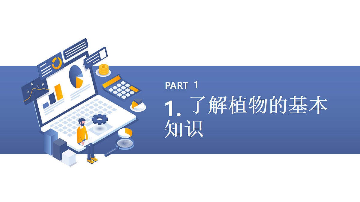 17299231第3页