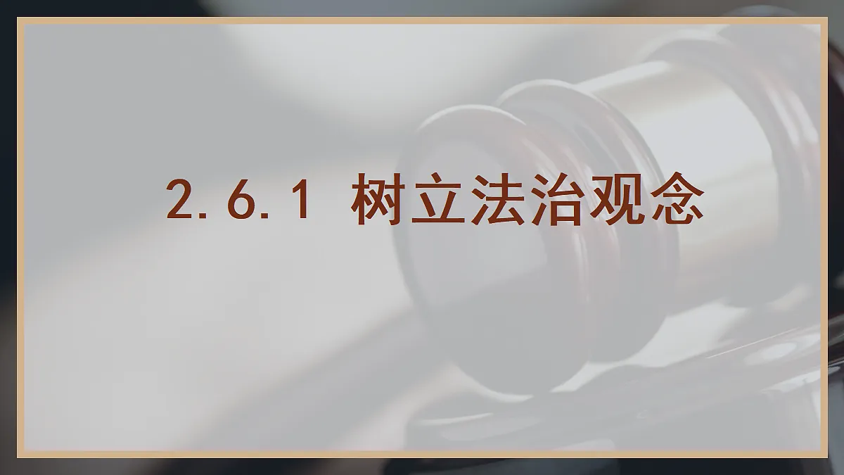 17299965第1页