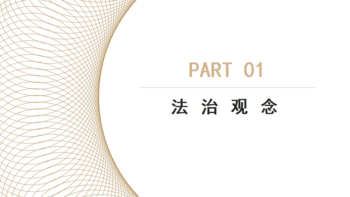 17299965第4页