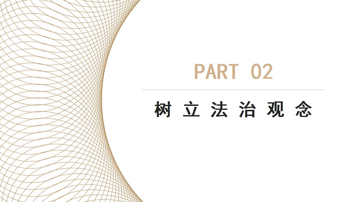 17299965第7页