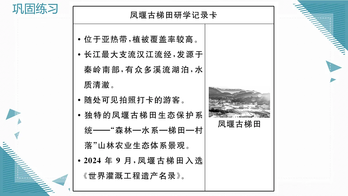 17300011第5页