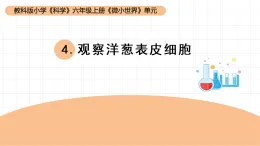 教科版六年級科學(xué)上冊 第4課《觀察洋蔥表皮細胞》（課件）
