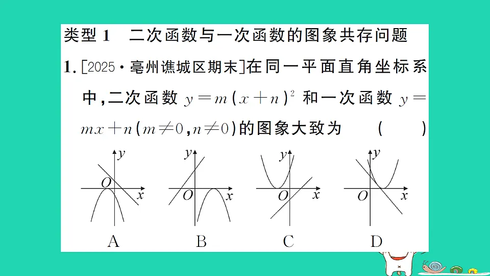 17302605第5页