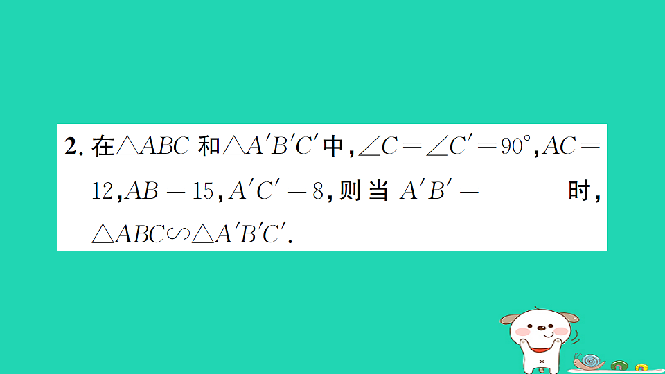 17302627第3页