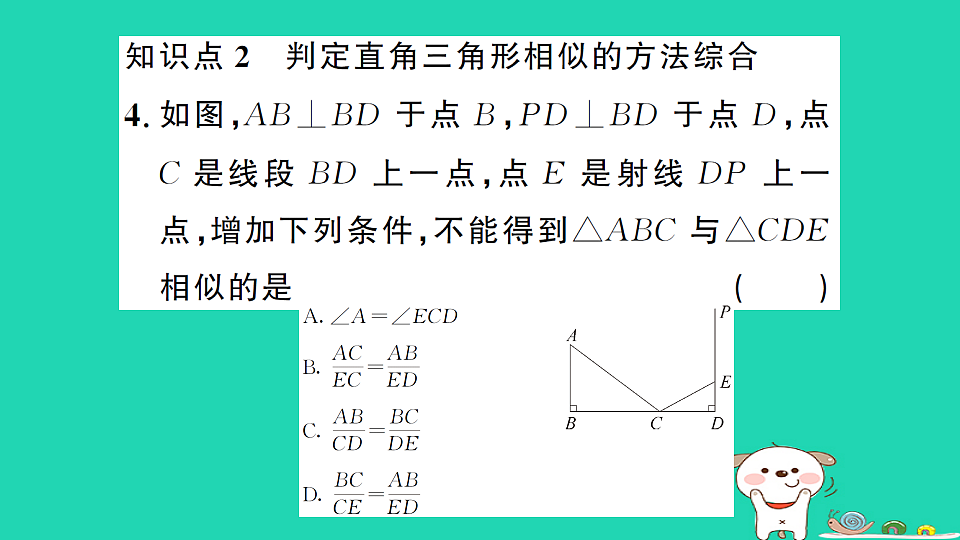 17302627第6页