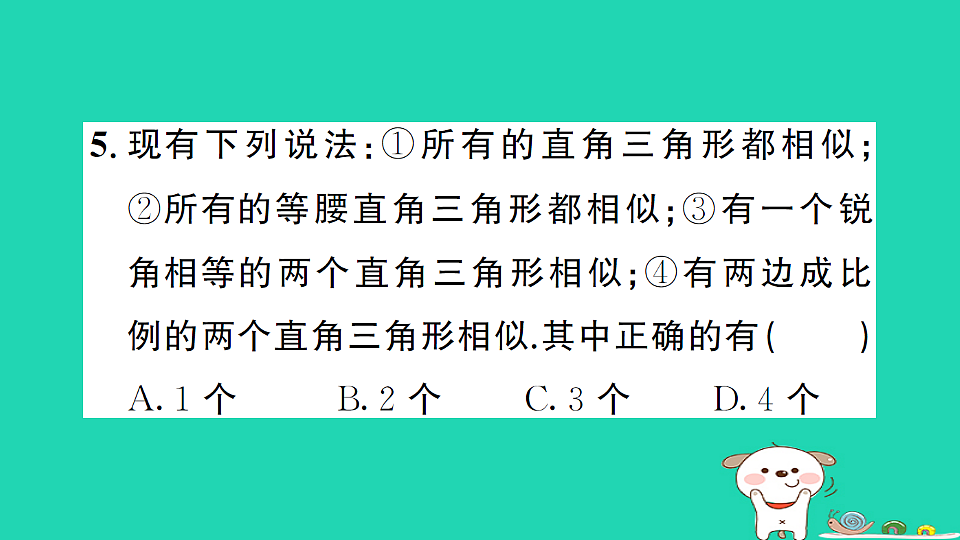 17302627第7页