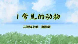 1《常見的動物》課件-2025-2026學(xué)年科學(xué)二年級上冊（湘科版2024）