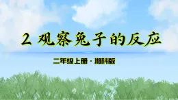 2《觀察兔子的反應(yīng)》課件-2025-2026學(xué)年科學(xué)二年級上冊（湘科版2024）