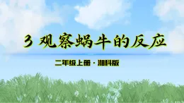 3《觀察蝸牛的反應(yīng)》課件-2025-2026學(xué)年科學(xué)二年級上冊（湘科版2024）