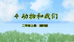 4《動物和我們》課件-2025-2026學(xué)年科學(xué)二年級上冊（湘科版2024）