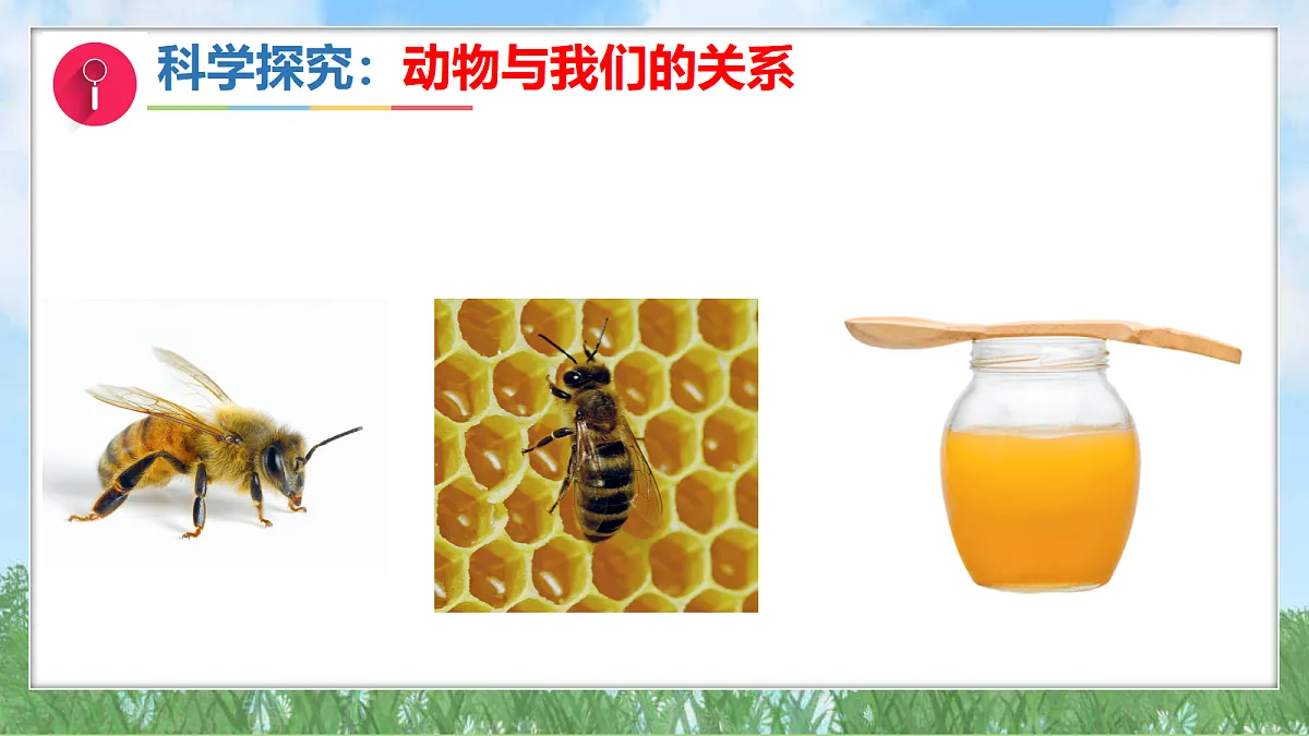 17303474第6页