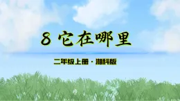 8《它在哪里》課件-2025-2026學(xué)年科學(xué)二年級上冊（湘科版2024）
