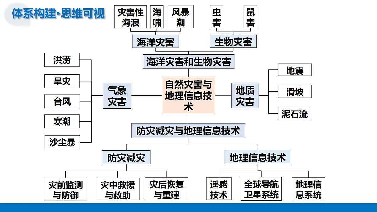 17303495第7页