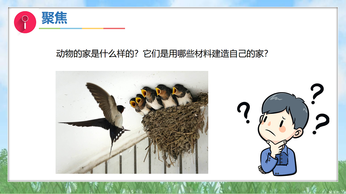 17303531第4页