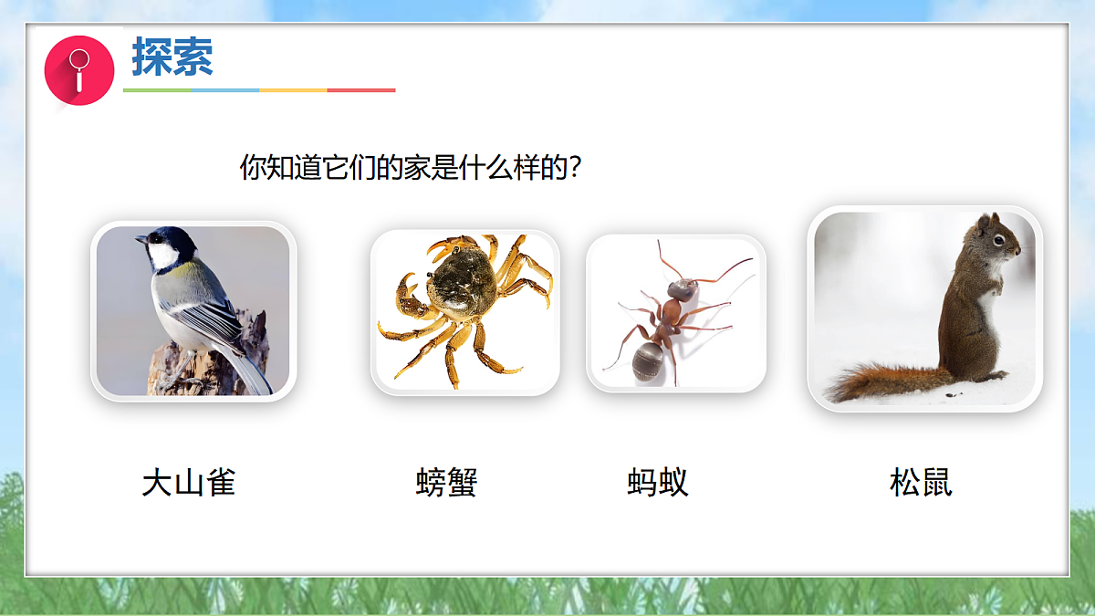 17303531第6页