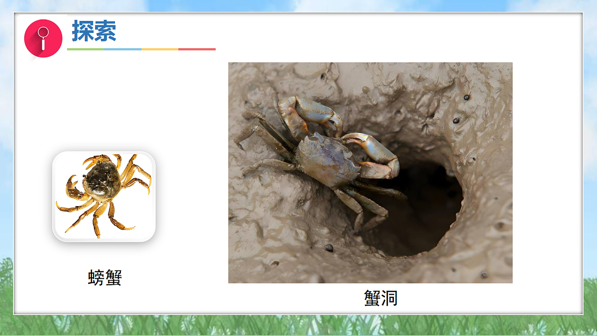 17303531第8页