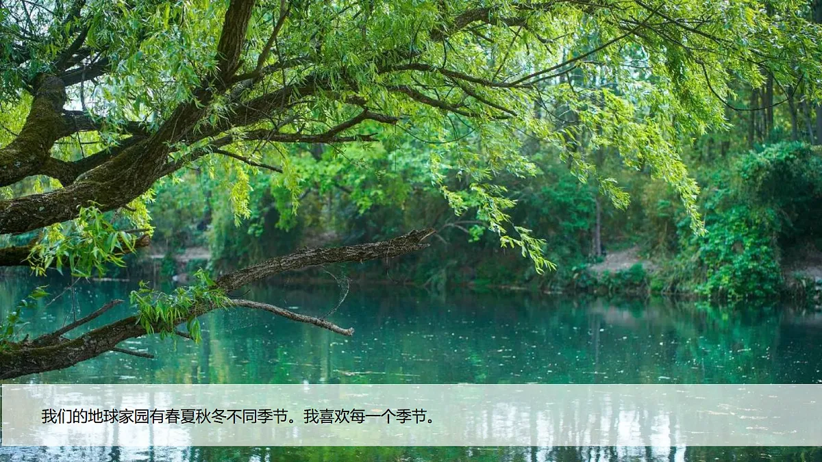 17303541第4页