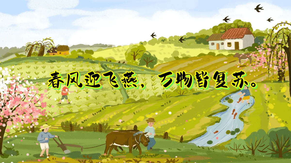 17303541第8页