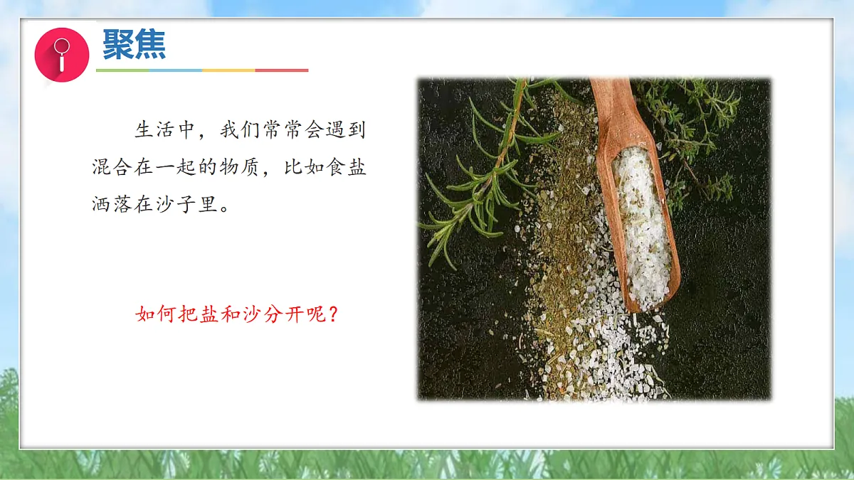 17303558第5页