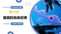 第16讲+基因的自由组合定律（复习课件）（广东专用）2026年高考生物一轮复习讲练测