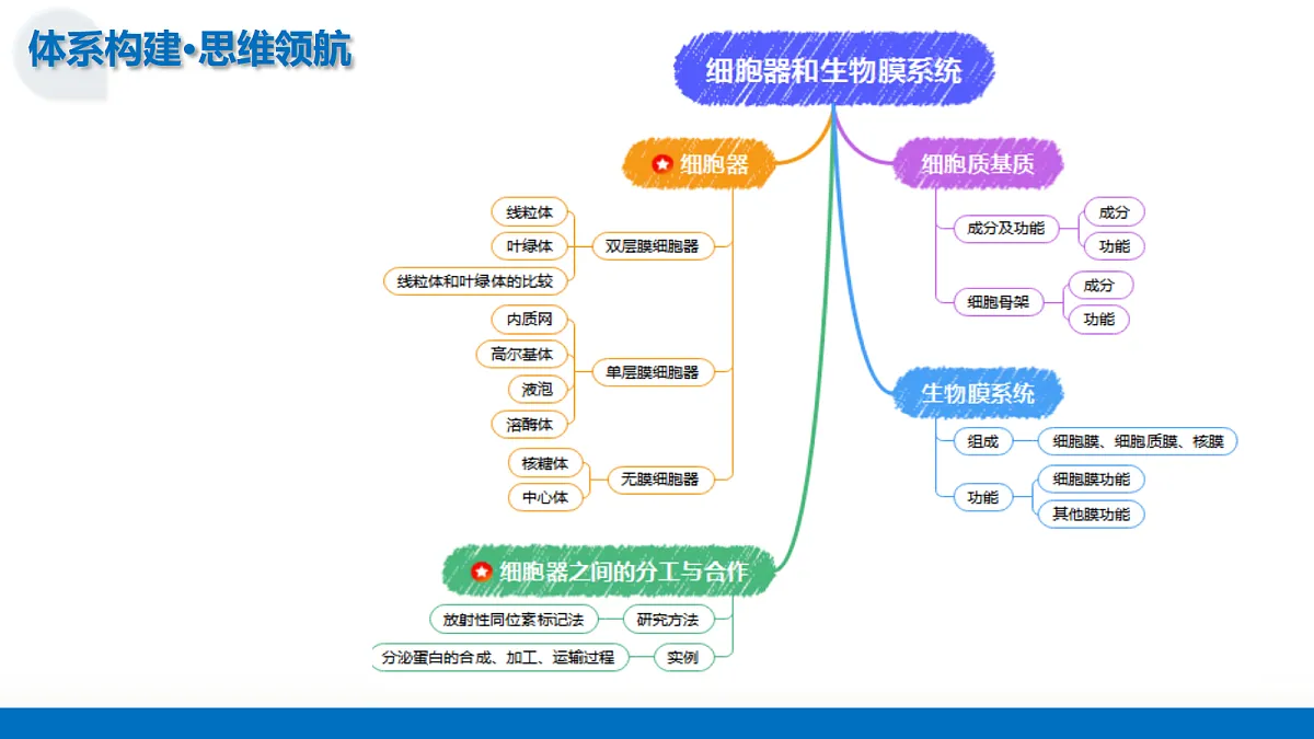 17303579第7页