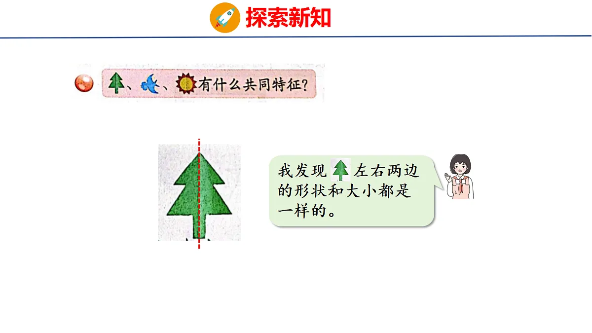 17303992第4页