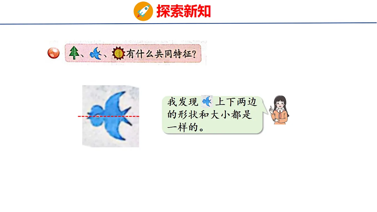 17303992第5页