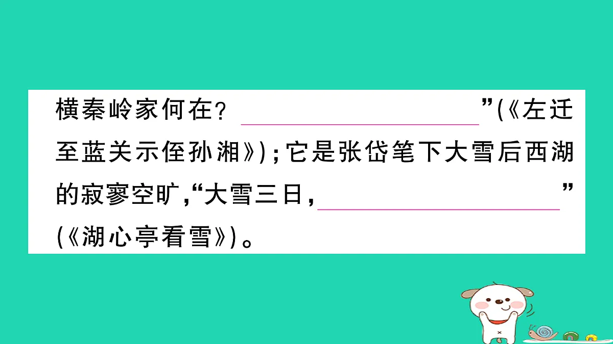 17304535第8页