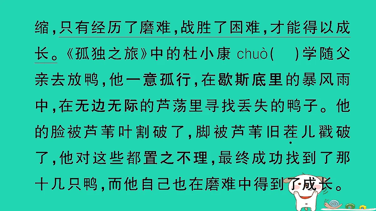 17304544第5页