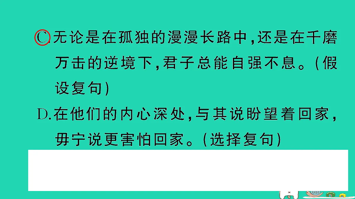 17304574第3页