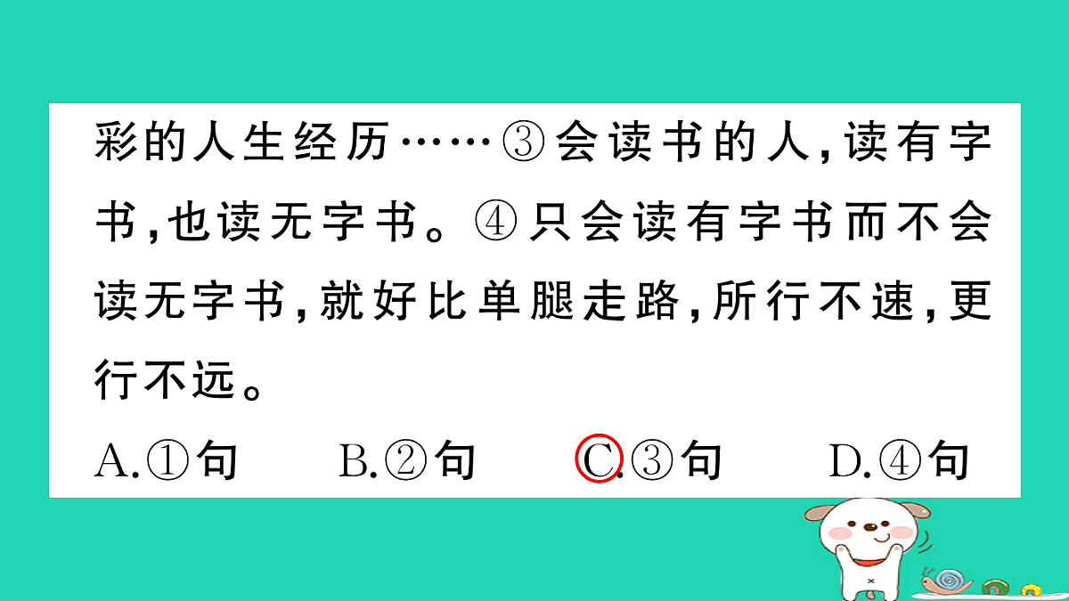 17304577第3页