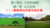 生物七年级上册（2024）观察周边环境中的生物课文内容ppt课件