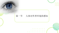 初中生物第一节 人体对外界环境的感知图片ppt课件