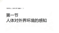 初中生物人教版（2024）八年级上册（2024）第一节 人体对外界环境的感知图文课件ppt