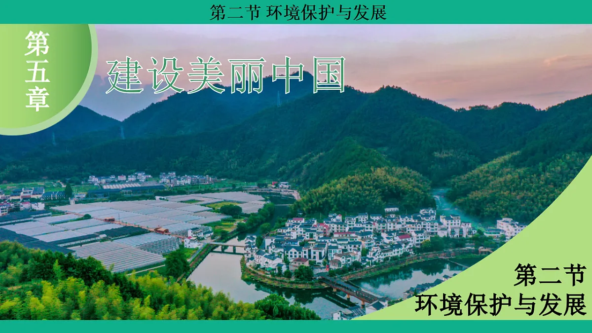 17306204第1页