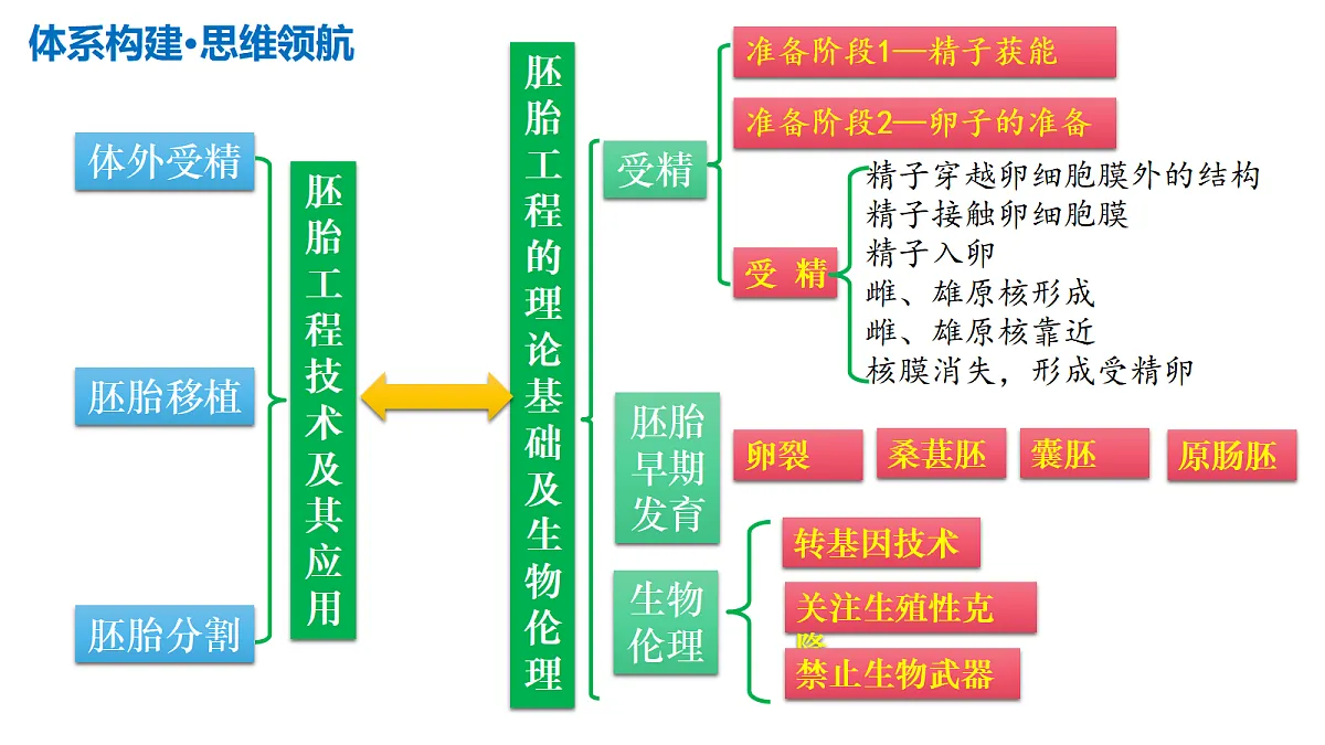 17306840第7页