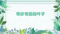学前教育大班《奇妙有趣的叶子》课件