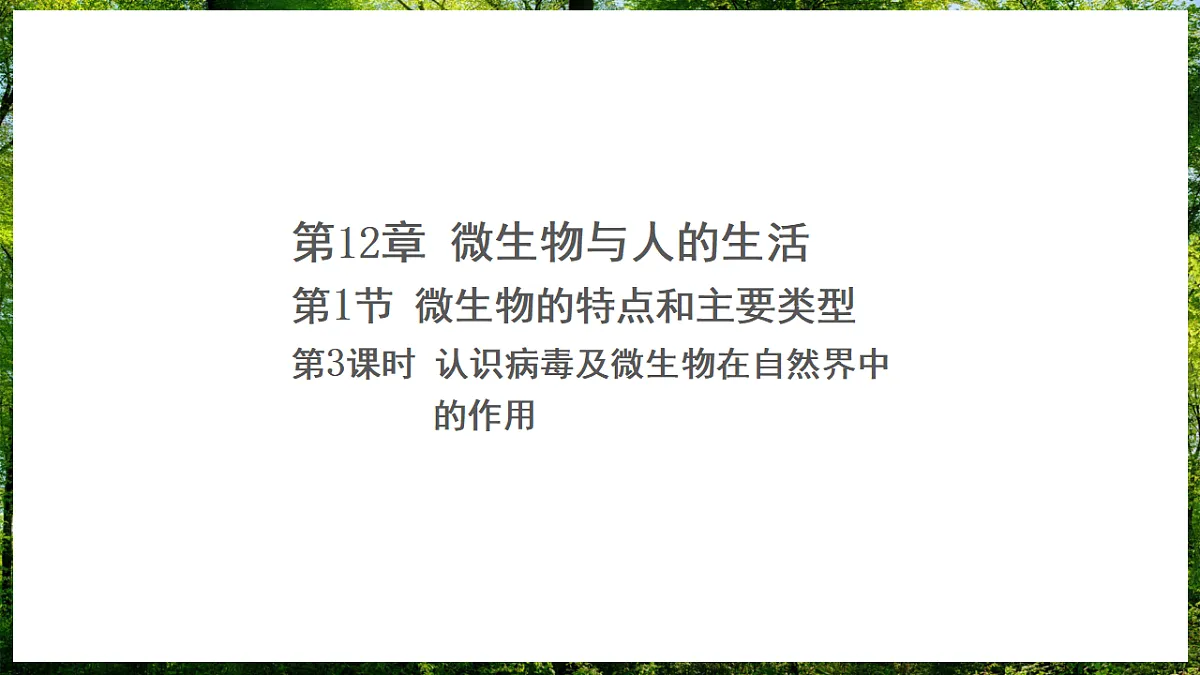 17307126第1页