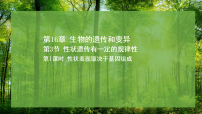 北师大版(2024)八年级上册(2024)性状遗传有一定的规律性评课ppt课件
