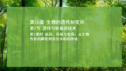 16.5 遗传与转基因技术 第1课时 （课件）-2025--2026学年北师版（2024）生物八年级上册