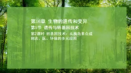 16.5 遗传与转基因技术 第2课时 （课件）-2025--2026学年北师版（2024）生物八年级上册