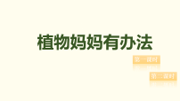 小学统编版（2024）3 植物妈妈有办法课前预习课件ppt