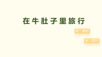 小学语文统编版（2024）三年级上册（2024）12 在牛肚子里旅行课文ppt课件