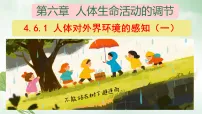 初中生物人教版（2024）八年级上册（2024）第一节 人体对外界环境的感知课文内容课件ppt