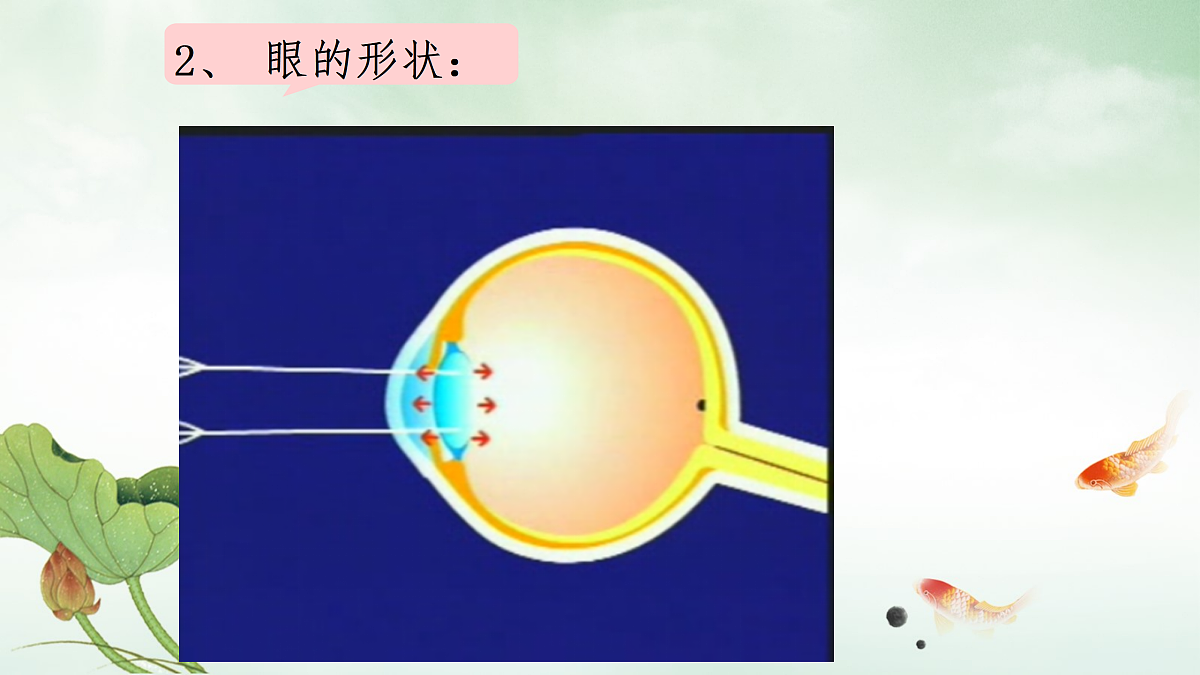 17307888第7页