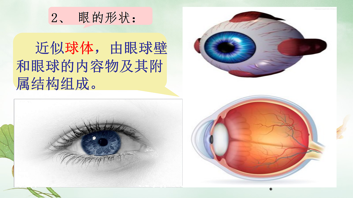 17307888第8页